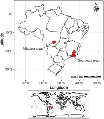 Bradyrhizobium as the Only Rhizobial Inhabitant of Mung Bean (Vigna radiata) Nodules in Tropical Soils: A Strategy Based on Microbiome for Improving Biological Nitrogen Fixation Using Bio-Products